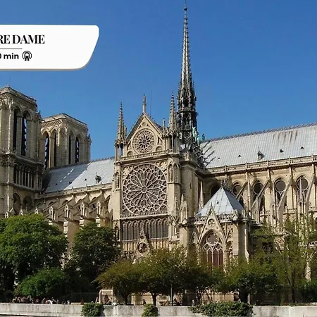 544 Champignon - Superbe A Parigi